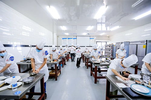重慶高新區首屆“高新工匠杯”技能大賽開賽，信息技術咨詢服務領域人才角逐巔峰